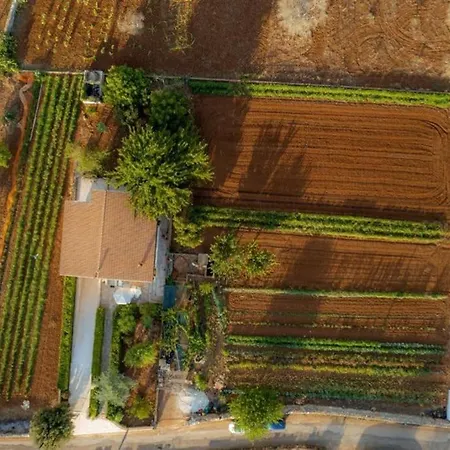 Mauro Corsano (Apulia)