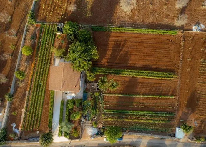 Mauro Corsano (Apulia)
